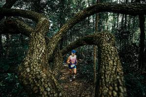 BIB: 
                            <button type="button" onclick="openModal(25665541)" class="btn btn-primary btn-sm float-right btn-popup" data-toggle="modal" data-target=".modal-high-quality">
                        <i class="fas fa-shopping-cart"></i> Add to Cart
                    </button>
                                            <button type="button" onclick="isThisMe(25665541, true)" class="btn btn-success btn-sm float-right btn-popup btn-isme hidden" data-toggle="tooltip" data-placement="bottom" title="นี่คือรูปของคุณใช่ไหม คลิกที่นี่เพื่อเอาเข้าอัลบั้ม">
                        <i class="fas fa-plus"></i> Add to album
                    </button>
                    <button type="button" onclick="isThisMe(25665541, false)" class="btn btn-warning btn-sm float-right btn-popup btn-isnotme hidden">
                        <i class="fas fa-ban"></i> Remove from album
                    </button>